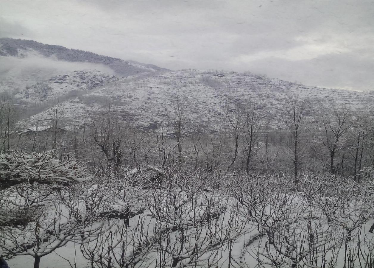 Calm Holiday Inn Srinagar  Exterior photo