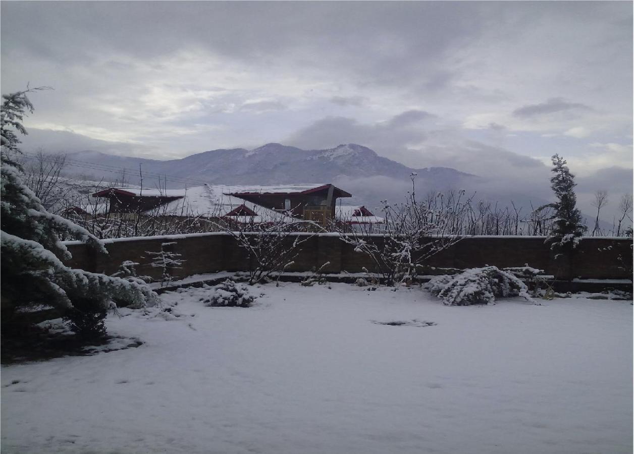 Calm Holiday Inn Srinagar  Exterior photo